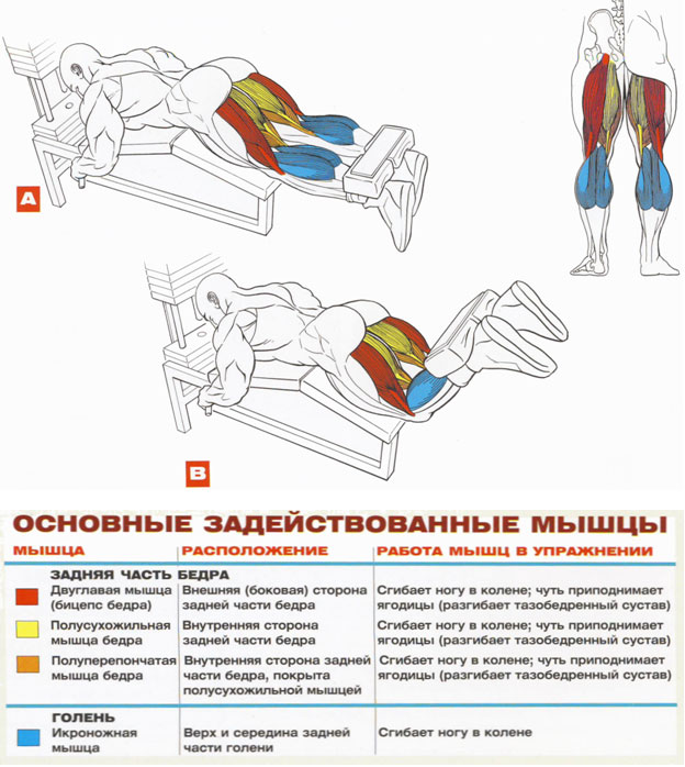 Задний мах прямой ногой - техника выполнения упражнения.