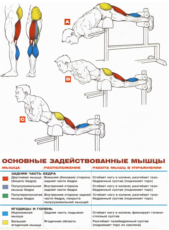 Топ-10 вариантов гиперэкстензии на полу: для укрепления спины и для осанки